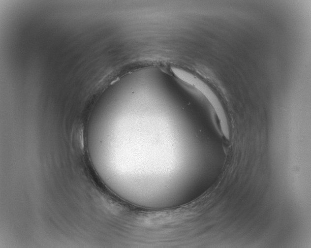 X0000064740021200602241815