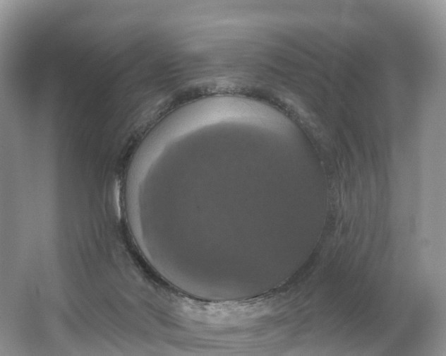 X0000064740022200602241815