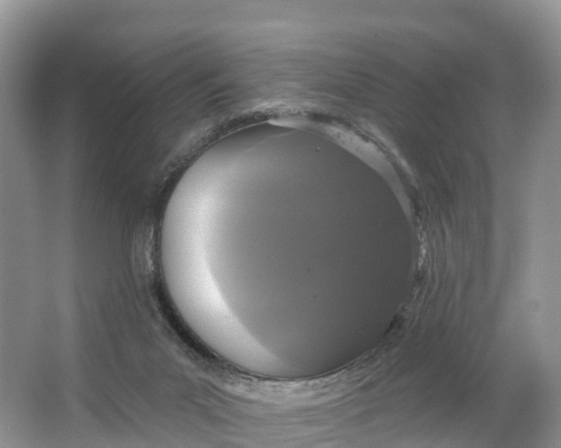 X0000064740023200602241815