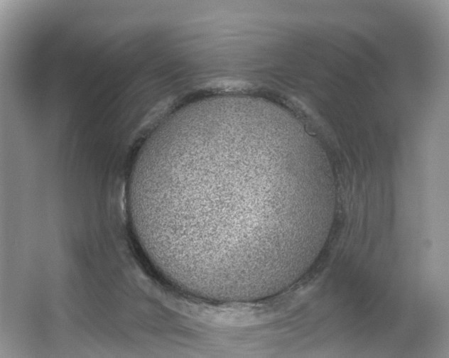 X0000064740024200602241815