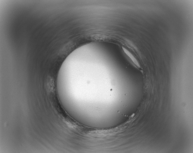 X0000064740025200602241815