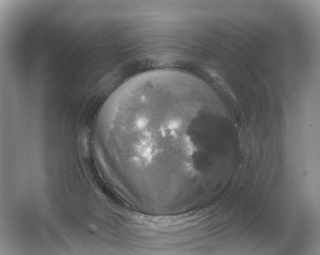 X0000064740026200602241814