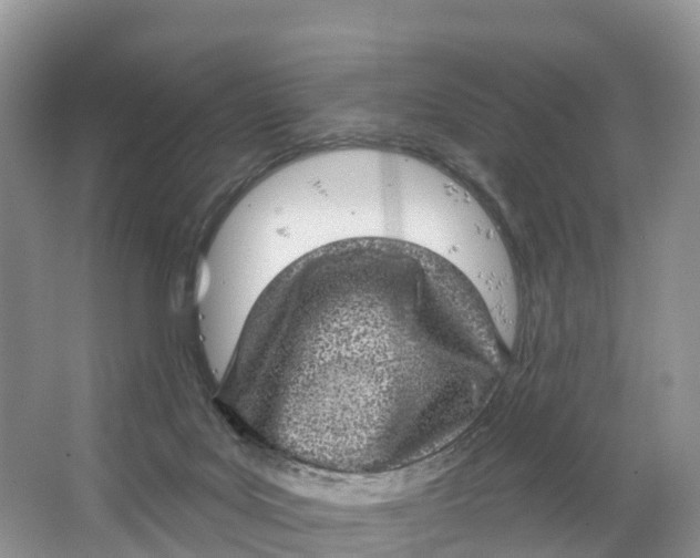 X0000064740027200602241814