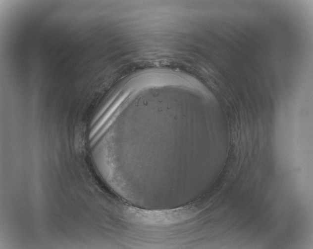 X0000064740030200602241814