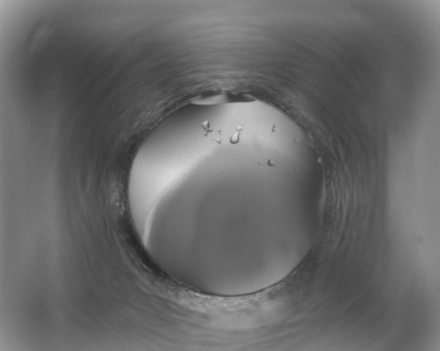 X0000064740031200602241814