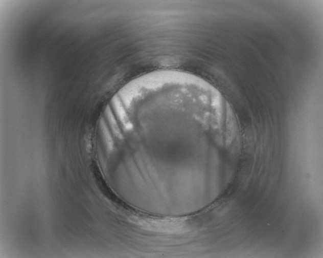 X0000064740032200602241814