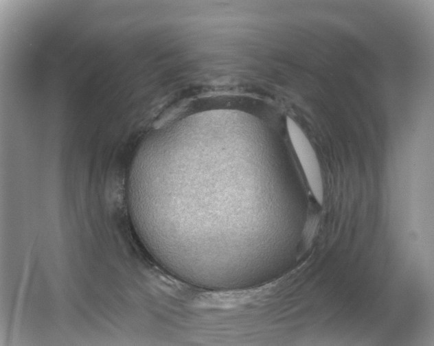 X0000064740033200602241814