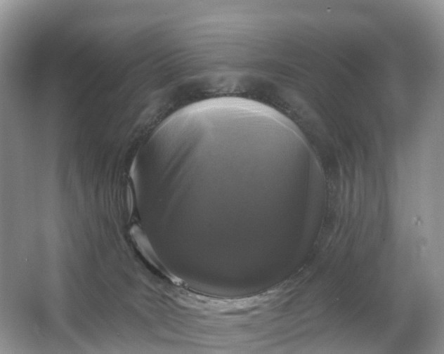 X0000064740035200602241814