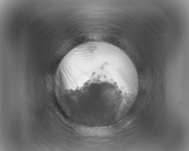 X0000064740036200602241814