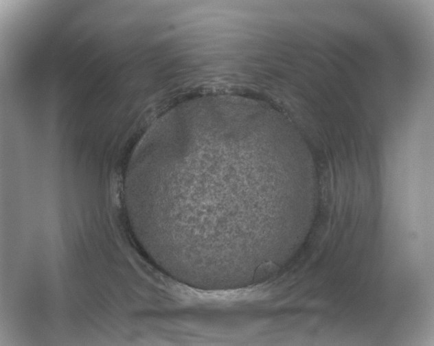 X0000064740038200602241814