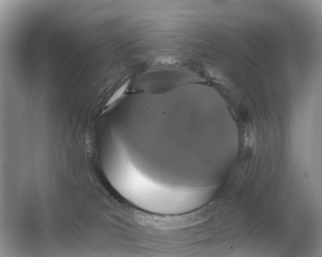 X0000064740039200602241814