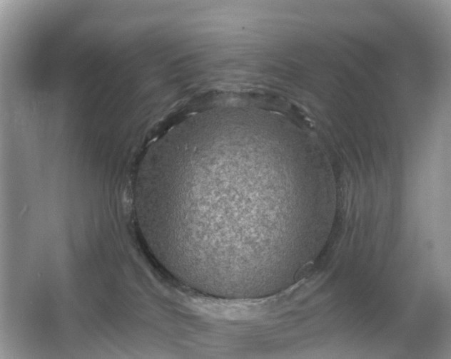 X0000064740040200602241814