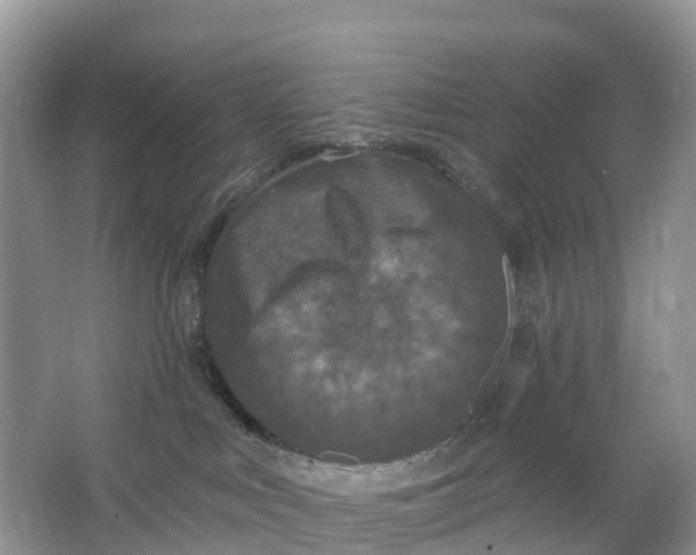 X0000064740043200602241814