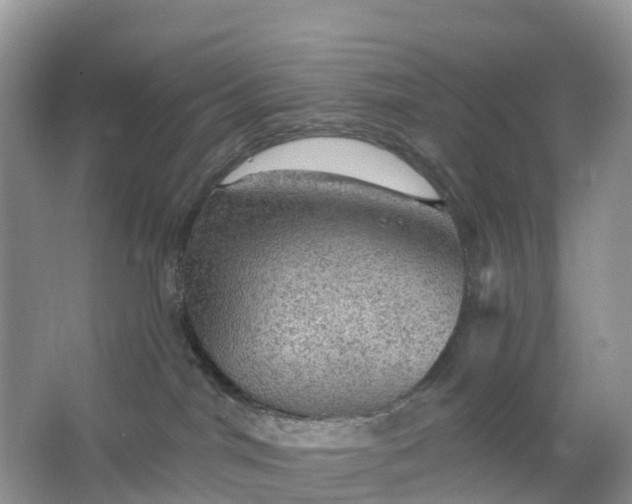 X0000064740044200602241814