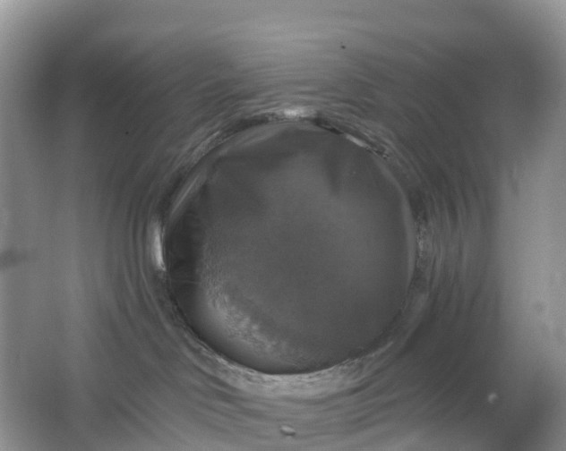 X0000064740046200602241814