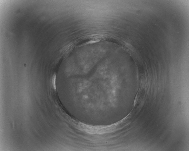 X0000064740047200602241814