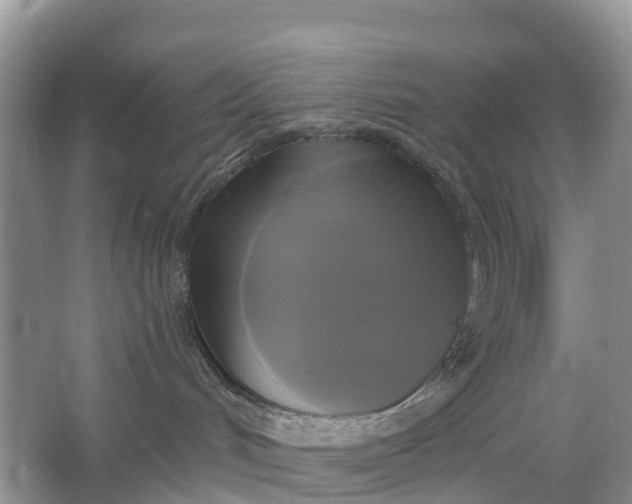 X0000064740048200602241814