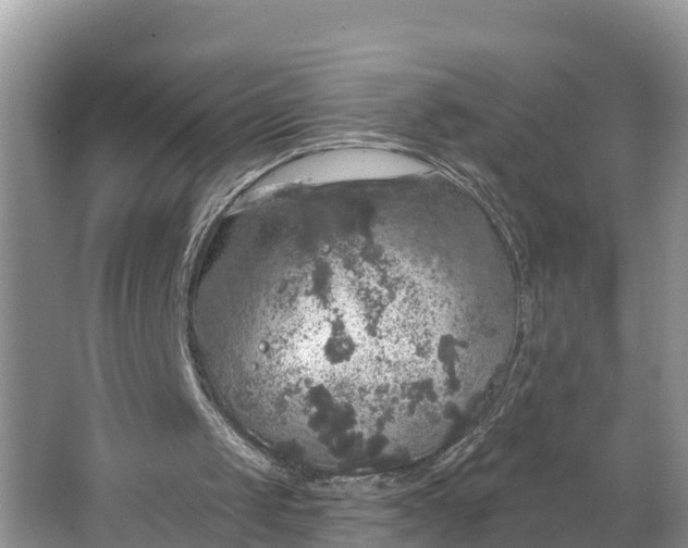 X0000064740049200602241813