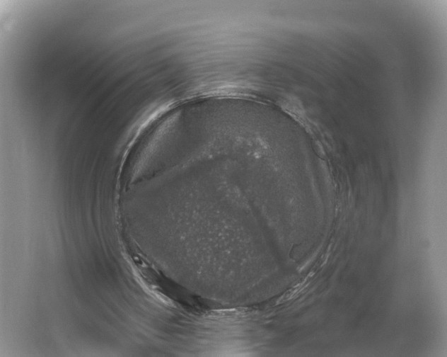 X0000064740050200602241813