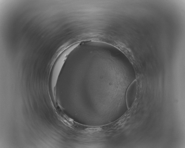 X0000064740051200602241813