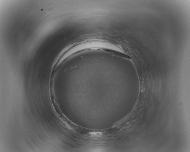 X0000064740052200602241813