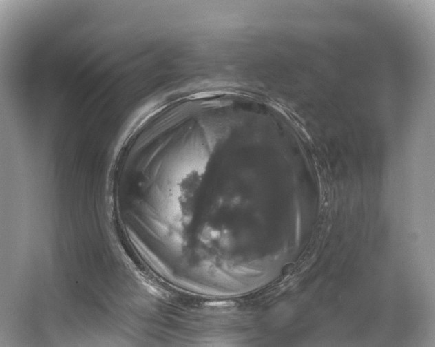 X0000064740053200602241813