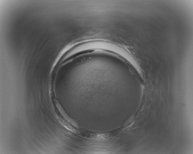 X0000064740056200602241813