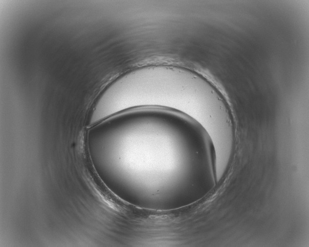 X0000064740057200602241813