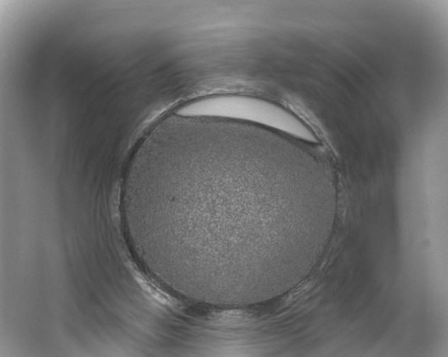 X0000064740058200602241813