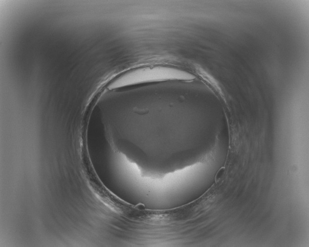 X0000064740059200602241813