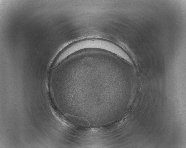 X0000064740060200602241813