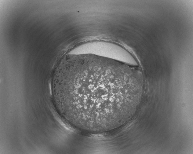 X0000064740061200602241813