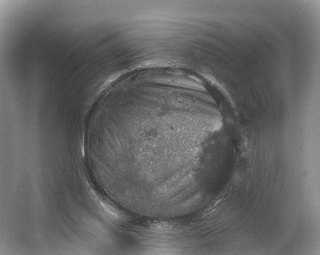 X0000064740062200602241813