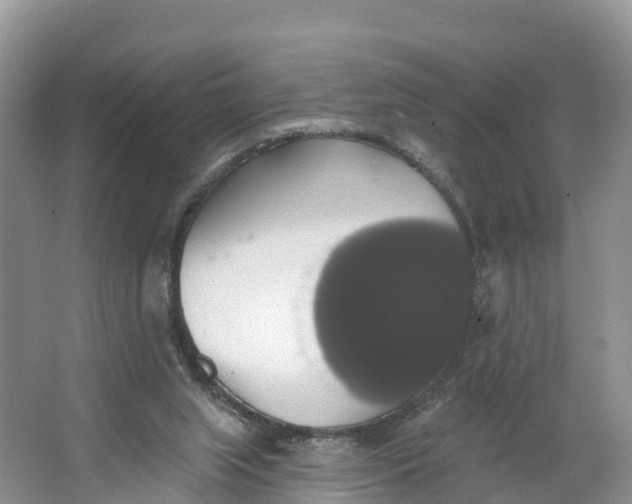 X0000064740063200602241813