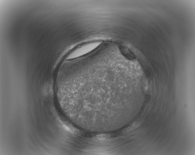 X0000064740064200602241813