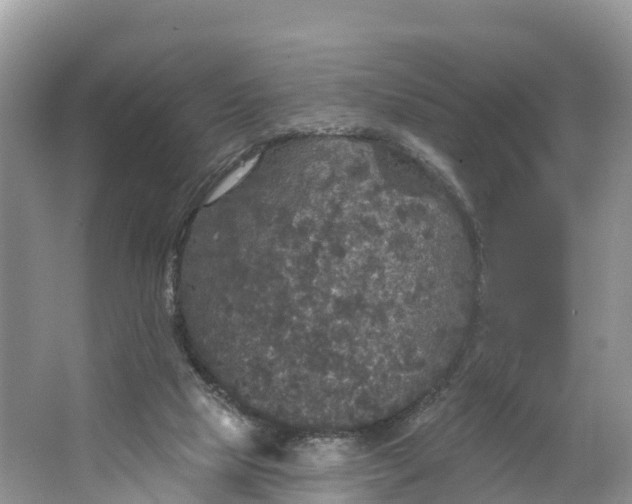 X0000064740065200602241813