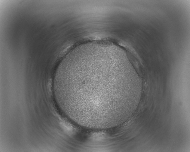 X0000064740066200602241813