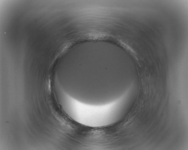 X0000064740067200602241813