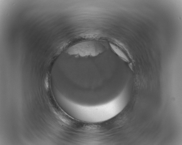 X0000064740069200602241813