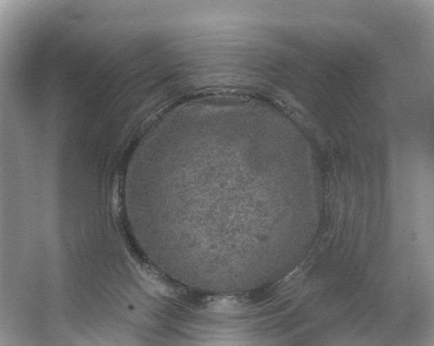 X0000064740074200602241813