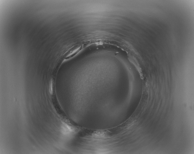 X0000064740076200602241813