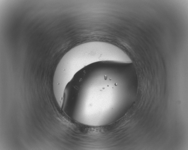 X0000064740077200602241813