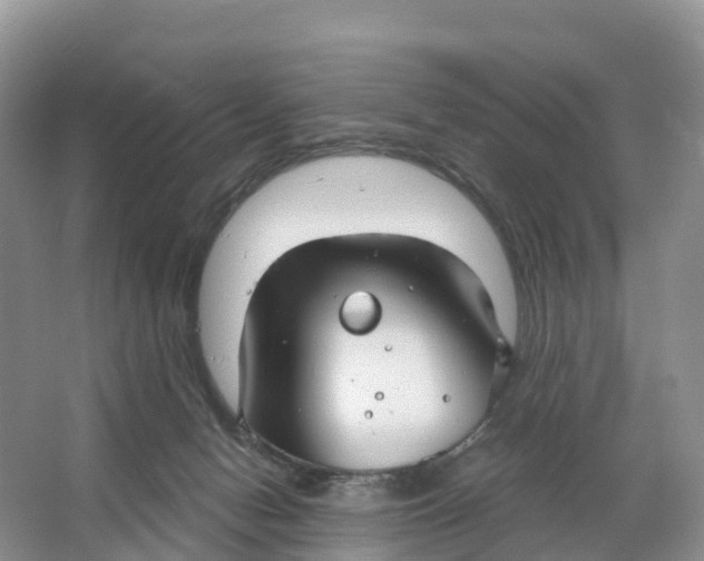 X0000064740078200602241813