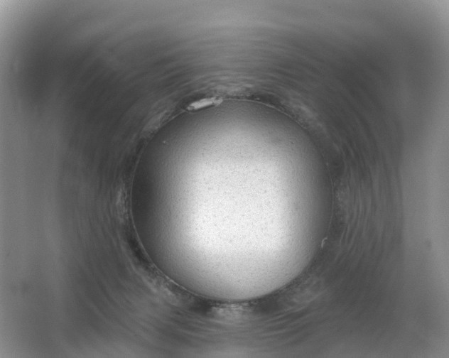 X0000064740079200602241813