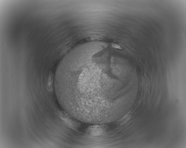 X0000064740082200602241814