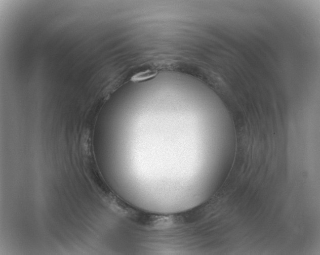 X0000064740083200602241814