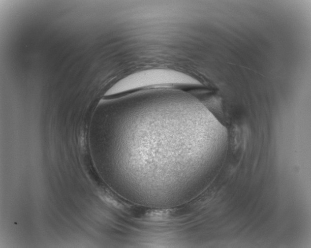 X0000064740084200602241814