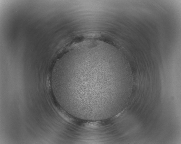 X0000064740086200602241814