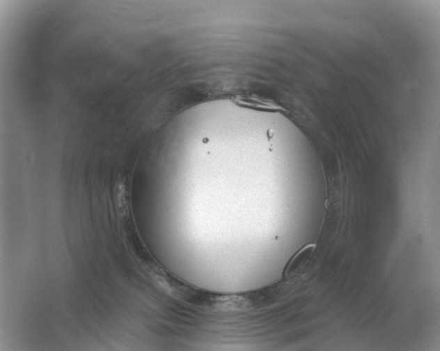 X0000064740087200602241814