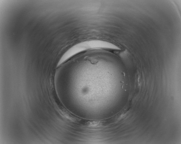 X0000064740088200602241814